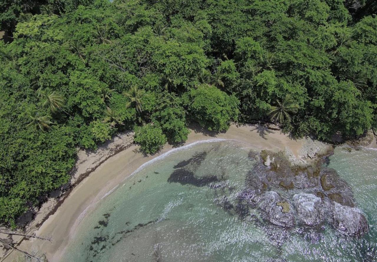 Posada Nena Caribe Puerto Viejo de Talamanca Bagian luar foto