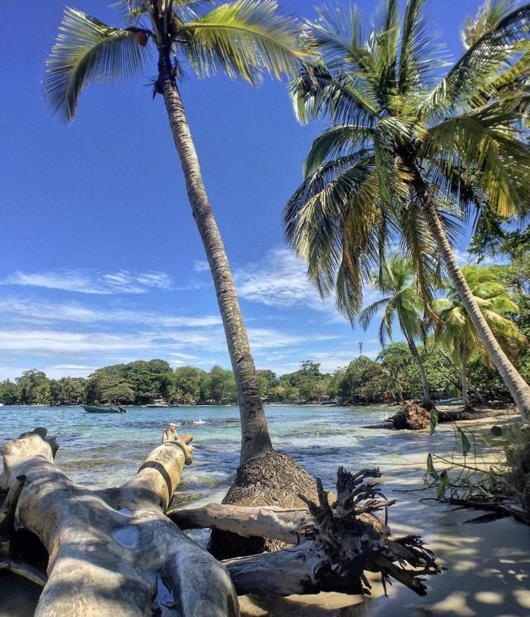 Posada Nena Caribe Puerto Viejo de Talamanca Bagian luar foto