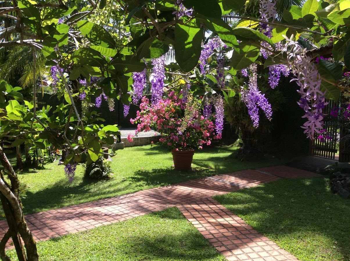 Posada Nena Caribe Puerto Viejo de Talamanca Bagian luar foto